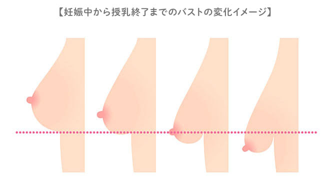 バストの変化イメージ