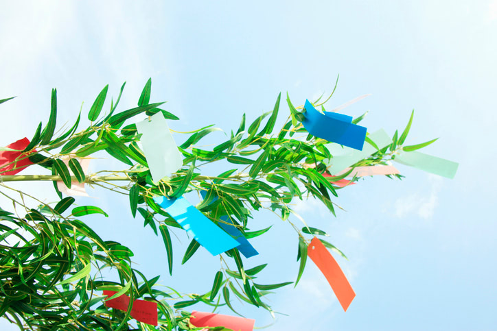 笹