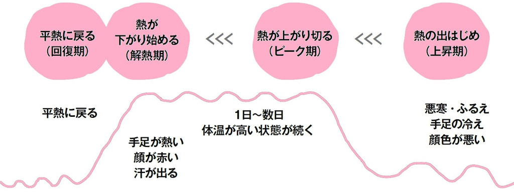 発熱　経過