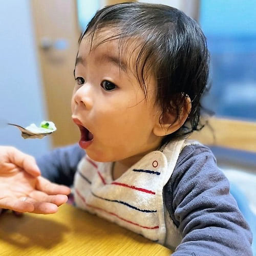離乳食　中期