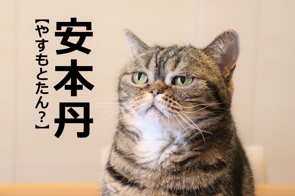 【安本丹】なんて読む？【読めないと恥ずかしい漢字クイズ】