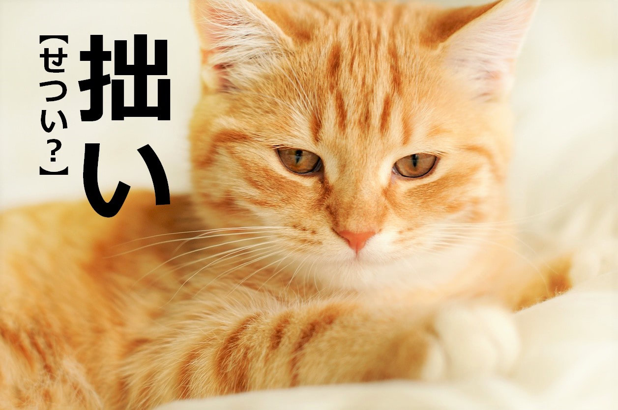 【拙い】を「せつい」と読むと笑われます！【読めないと恥ずかしい漢字クイズ】