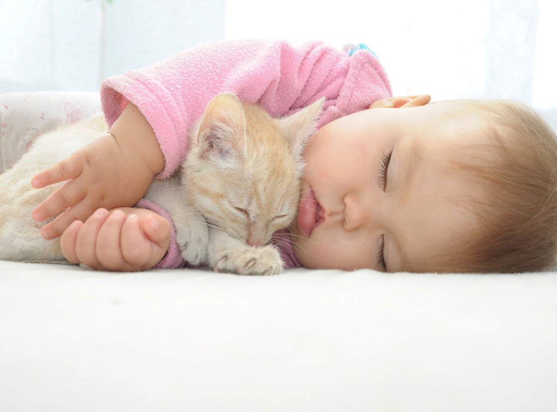 赤ちゃんが昼寝しないのって恐怖じゃない？スムーズな昼寝のために見直したい３つのこと【連載・愛波文の子どもの睡眠メソッド】