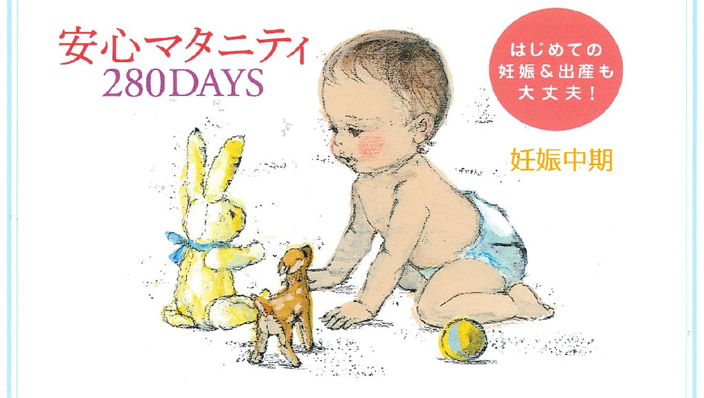 【妊娠中期】妊娠16週～27週の毎日アドバイス