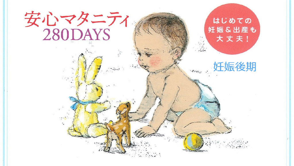 【妊娠後期】妊娠28週～39週の毎日アドバイス