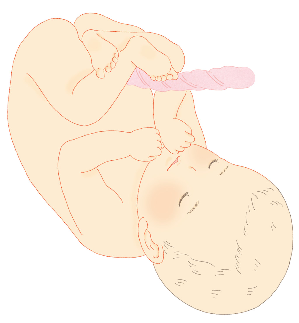 おなかの中の赤ちゃん　10ヶ月