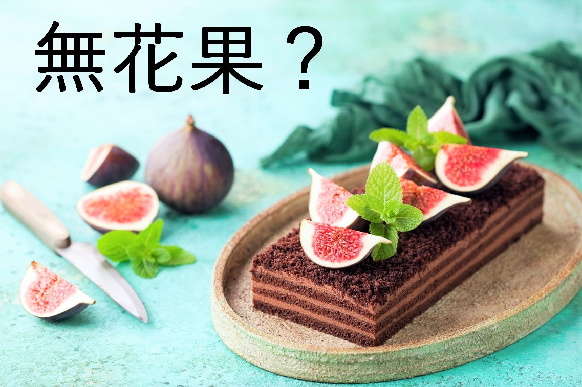 【無花果】なんて読む？【ママが読めないと恥ずかしい漢字クイズ⑥～秋のおしゃれな果物編～】