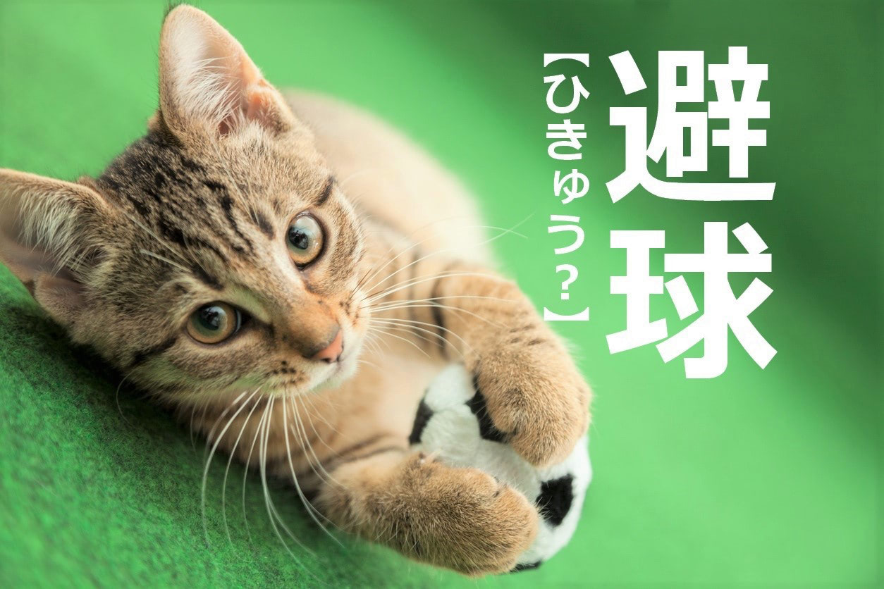 【闘球】【氷球】【避球】何のスポーツ？【知らないと恥ずかしい漢字クイズ】