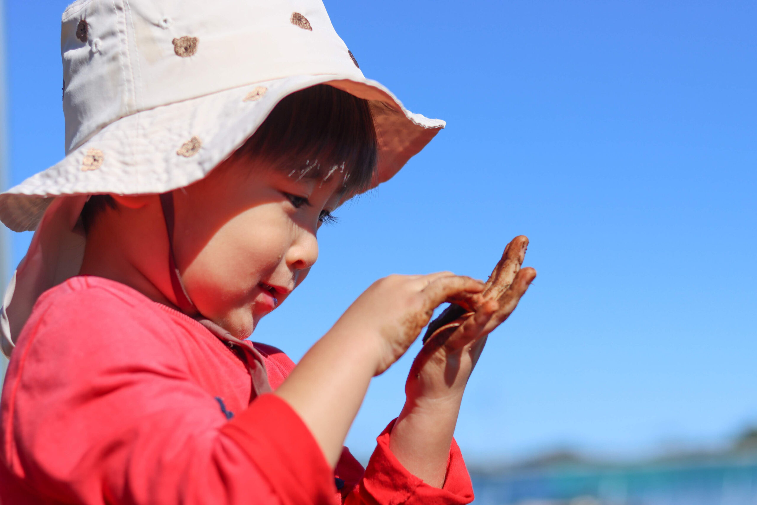 モンテッソーリ?プリスクール?それとも…私が幼稚園選びで大切にしたこととは?|SDGsな子育てがしたい #2