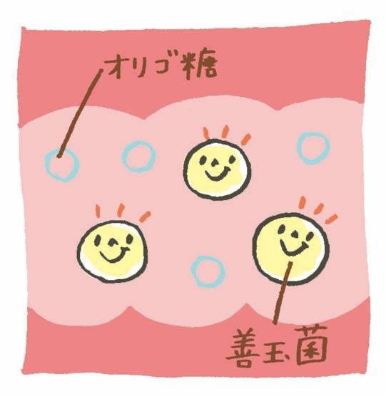 便秘　効く　食べ物