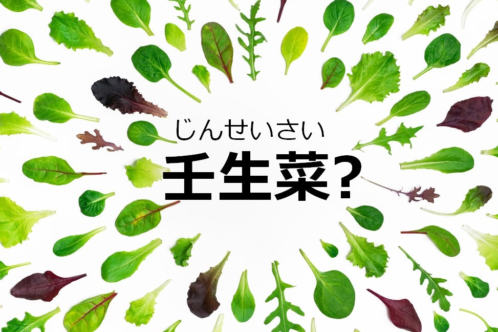 【壬生菜】なんて読む？【ママが読めないと恥ずかしい漢字クイズ⑬～お鍋の食材編～】