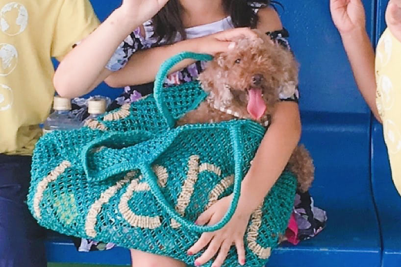外は苦手で散歩嫌い。それでも犬と一緒に旅をしたい。子どもたちと計画した犬旅｜元保護犬ジジのつれづれ日記#7