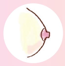 乳頭　小さめ
