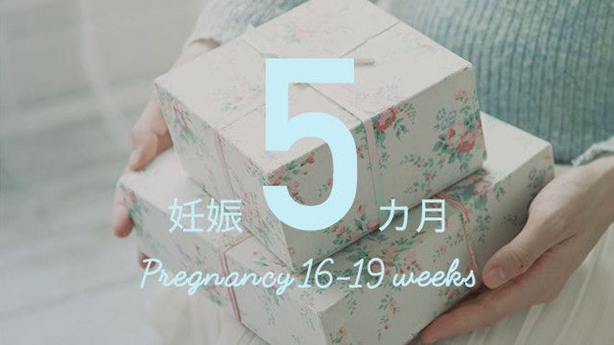 【妊娠16週5日／予定日まで163日】消化器官ができ上がってきました