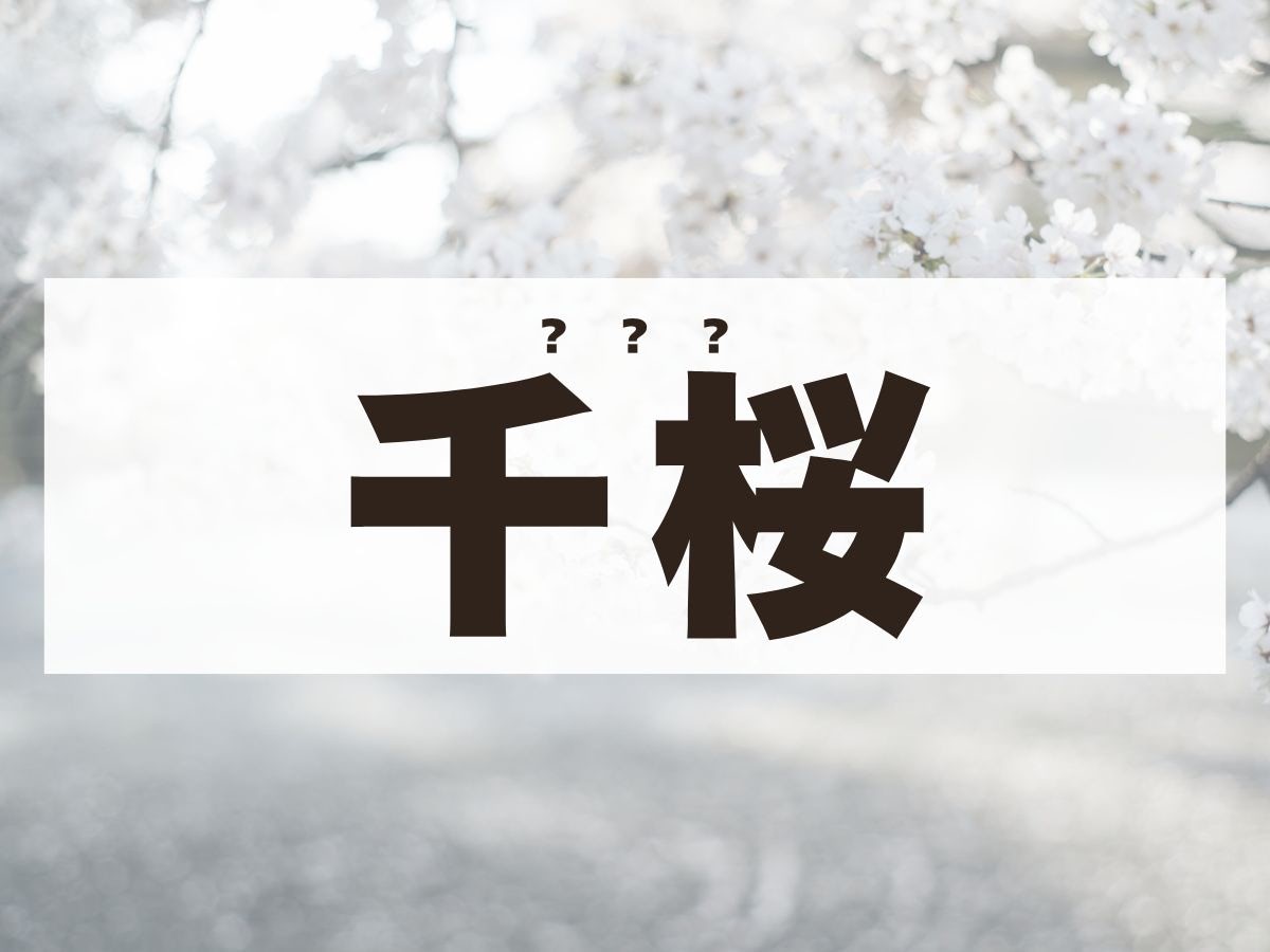 「千桜」ちゃん。この名前、何て読む？