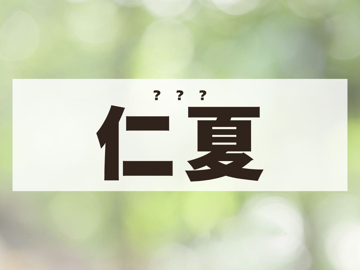 「仁夏」ちゃん。この名前、何て読む？