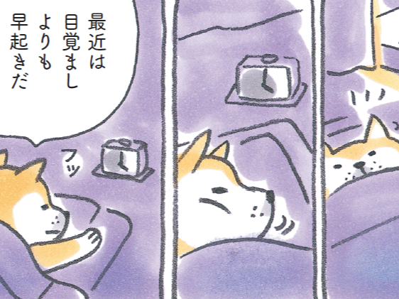 最近は目覚ましよりも早起きだ♪【柴犬食堂#1】
