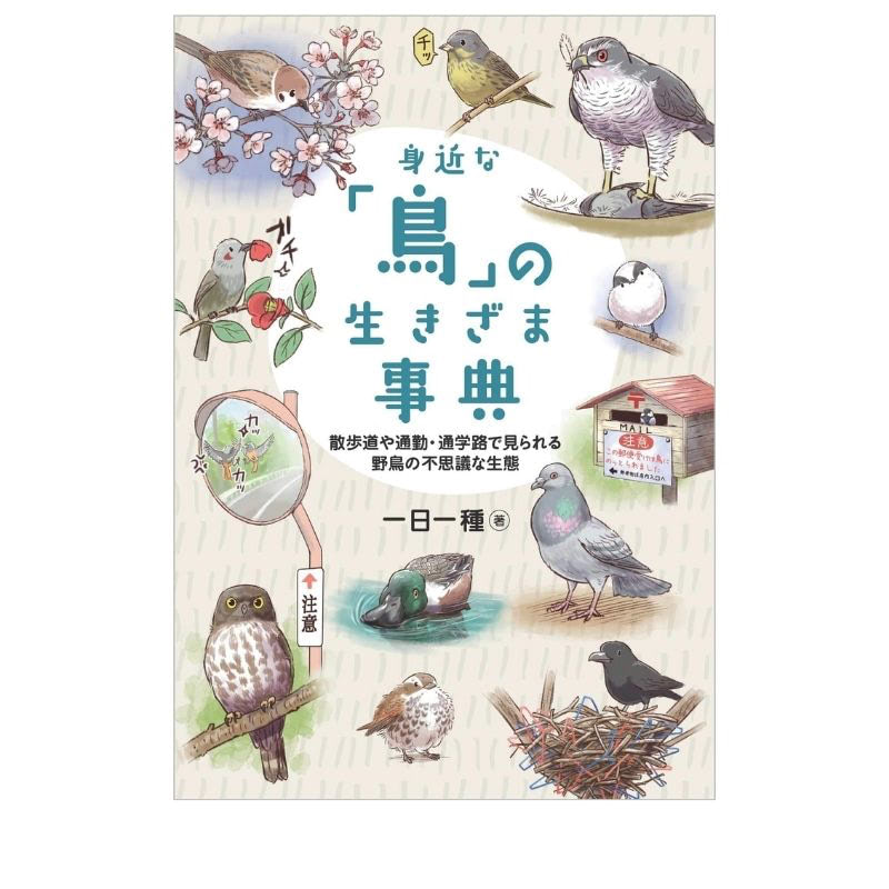 野鳥 図鑑