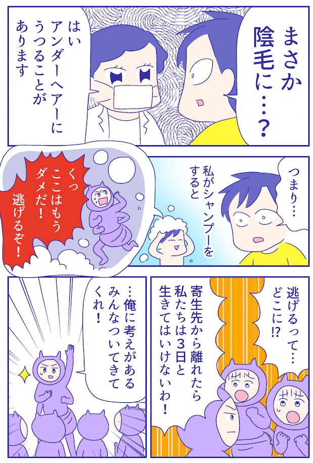 あらいぴろよ