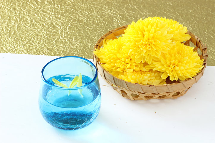 菊