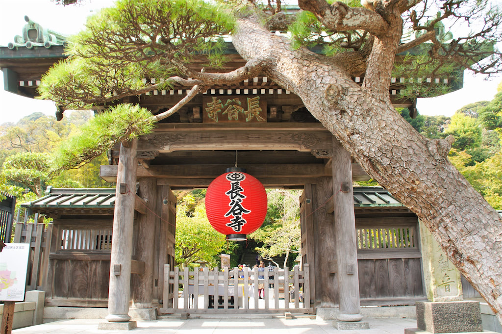 長谷寺　鎌倉