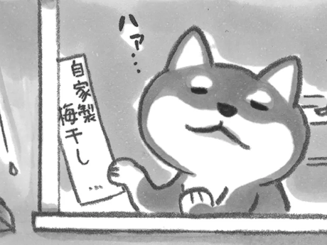 充電する時間も大切だよ。【柴犬食堂#7】