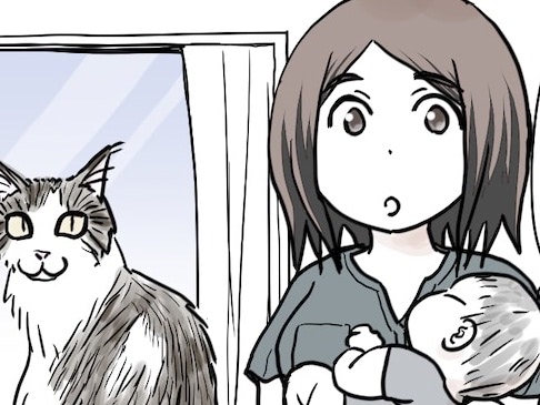 抜け毛地獄到来&hellip;。息子も母も猫も！？お風呂はもはやホラー現場に【40代夫婦の育児語録#14】