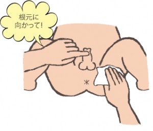 おちんちん　拭き方