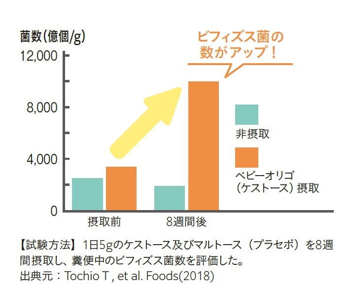 ケストース
