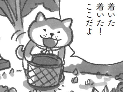 春を探しに出かけました。この時期みんなモフモフです【柴犬食堂#24】