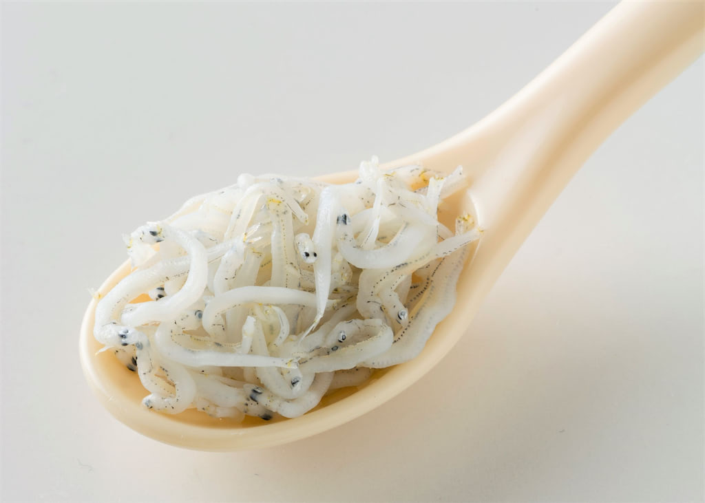 離乳食 しらす
