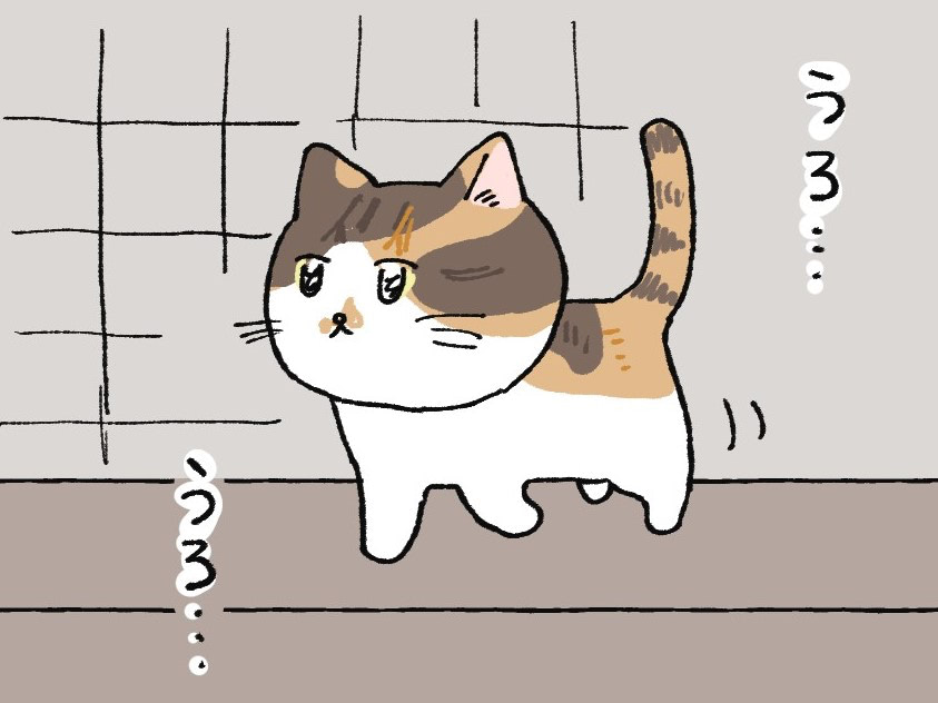 私がウロウロする理由【ミー子の日常#5】