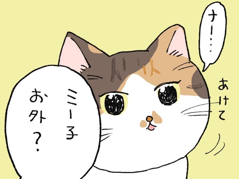 ねこがドアを開けてほしい理由とは【ミー子の日常#6】