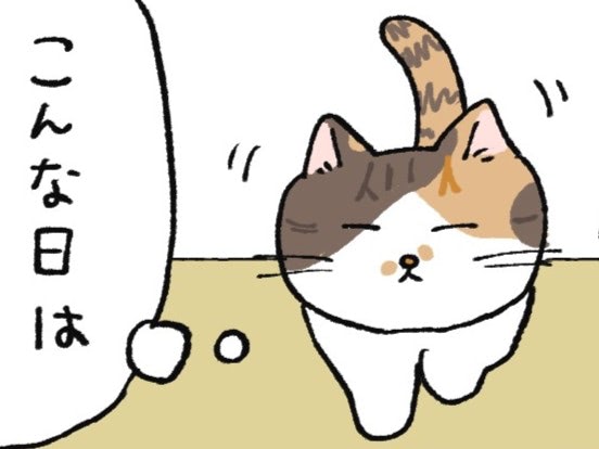 「こんな日は、ココに限る」ねこが集まる場所をご存じですか？【ミー子の日常#12】