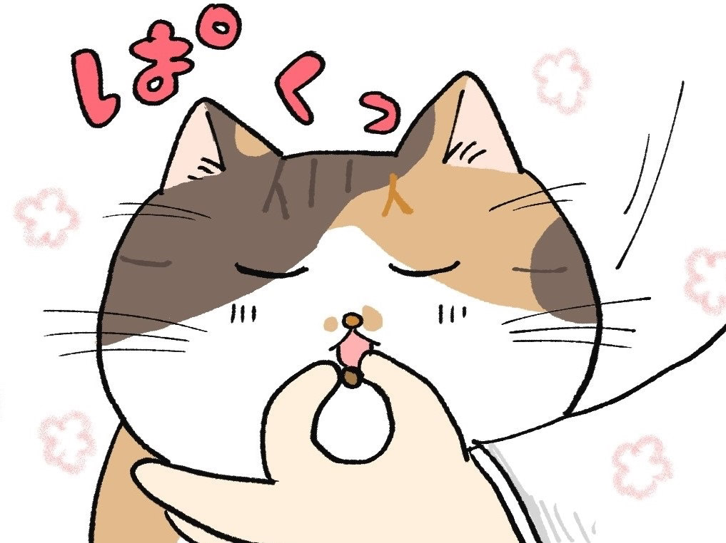 「年功序列ってやつですね」ベテランねこのルールと秩序はやぶられない【ミー子の日常#10】