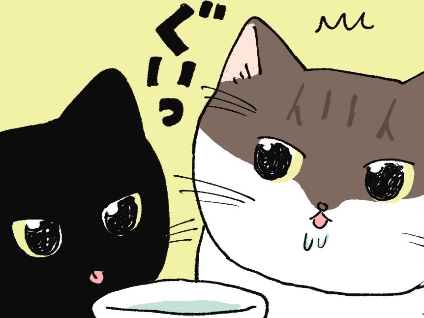 センパイねこ、激怒り&hellip;！わが家の水飲み場で起きがちなこと【ミー子の日常#13】