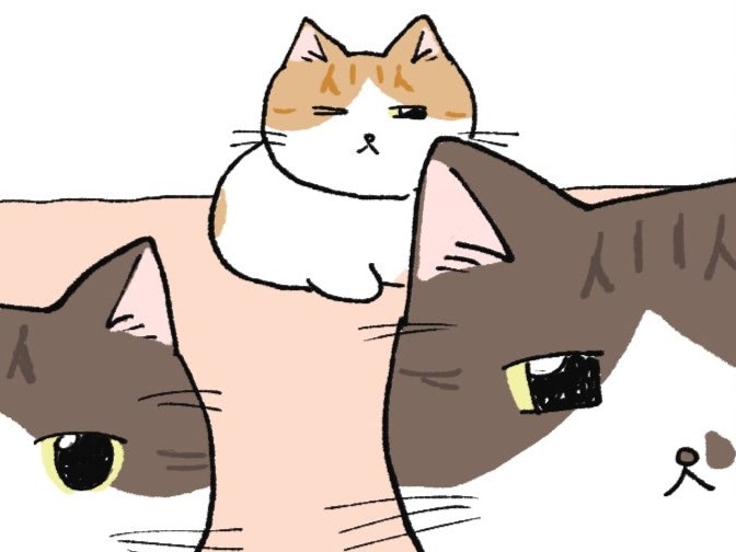スタスタスタスタ&hellip;？寝ぼけたねこたちのナゾ行動【ミー子の日常#14】