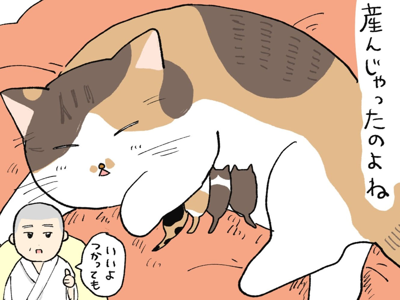 私が6匹の子ねこを産んだ日のこと【ミー子の日常#16】