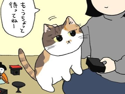 スンスン、スリ～&hellip;。みんな忙しくて、誰にもかまってもらえない【ミー子の日常#18】
