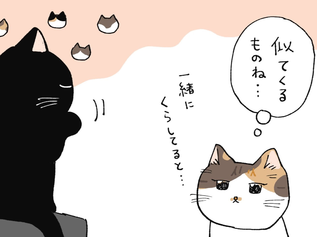 新入りねこのお作法。一緒に暮らしていると似てくるものです【ミー子の日常#19】