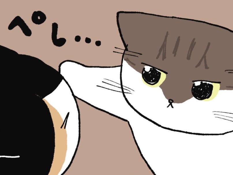 ぺし！後輩ねこの「これだけは絶対譲れない」こと【ミー子の日常#20】