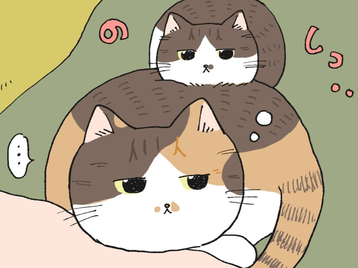 ねこがねこに、ねこ吸いしてくる&hellip;【ミー子の日常#22】