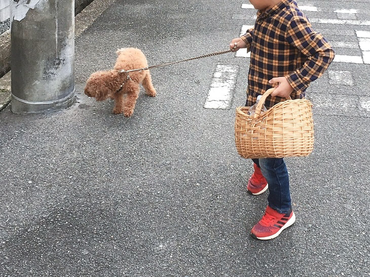 元保護犬