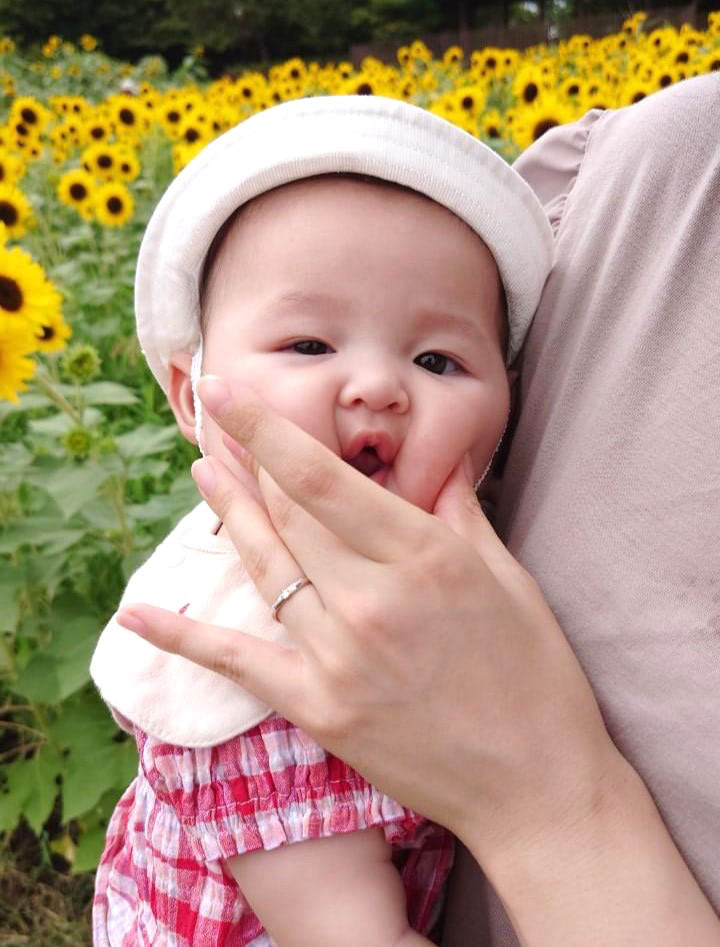ひまわり