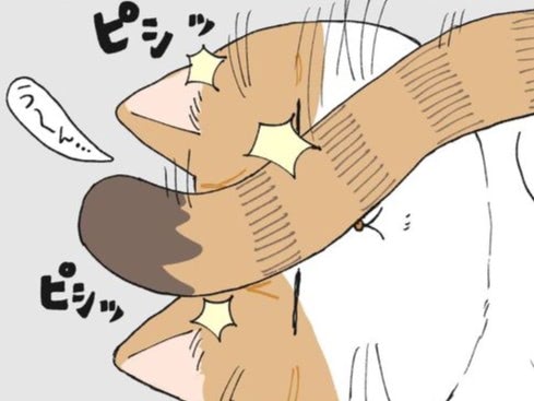 「こっち向いた！？」喜ぶねこのしっぽの先は&hellip;【ミー子の日常#25】