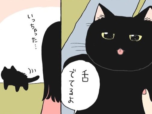 「はい、キレイになりました！」しっぽはなめるもの、寝ぐせはなおすもの【ミー子の日常#24】