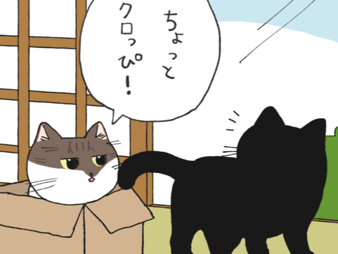 「どこで覚えた&hellip;」後輩ねこは、怒られたらコレをする【ミー子の日常#27】