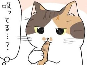 がじがじ、ちゅう&hellip;。しっぽを吸ったら落ち着きました【ミー子の日常#28】