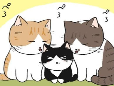 思ってたのと違ーーーう！！かわいがられる新入りねこは、嫉妬の対象！？【ミー子の日常#29】