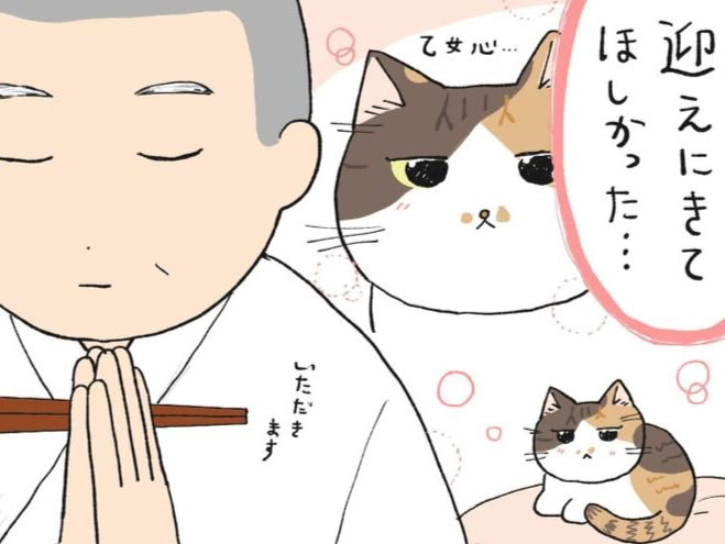 「来ないの？」朝ごはんの魚と、ときどき無視するねこ【ミー子の日常#30】
